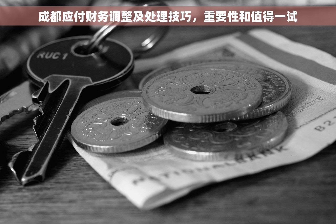 财务档案共享平台有哪些功能  财务档案共享平台：保障财务隐私，安全无忧 