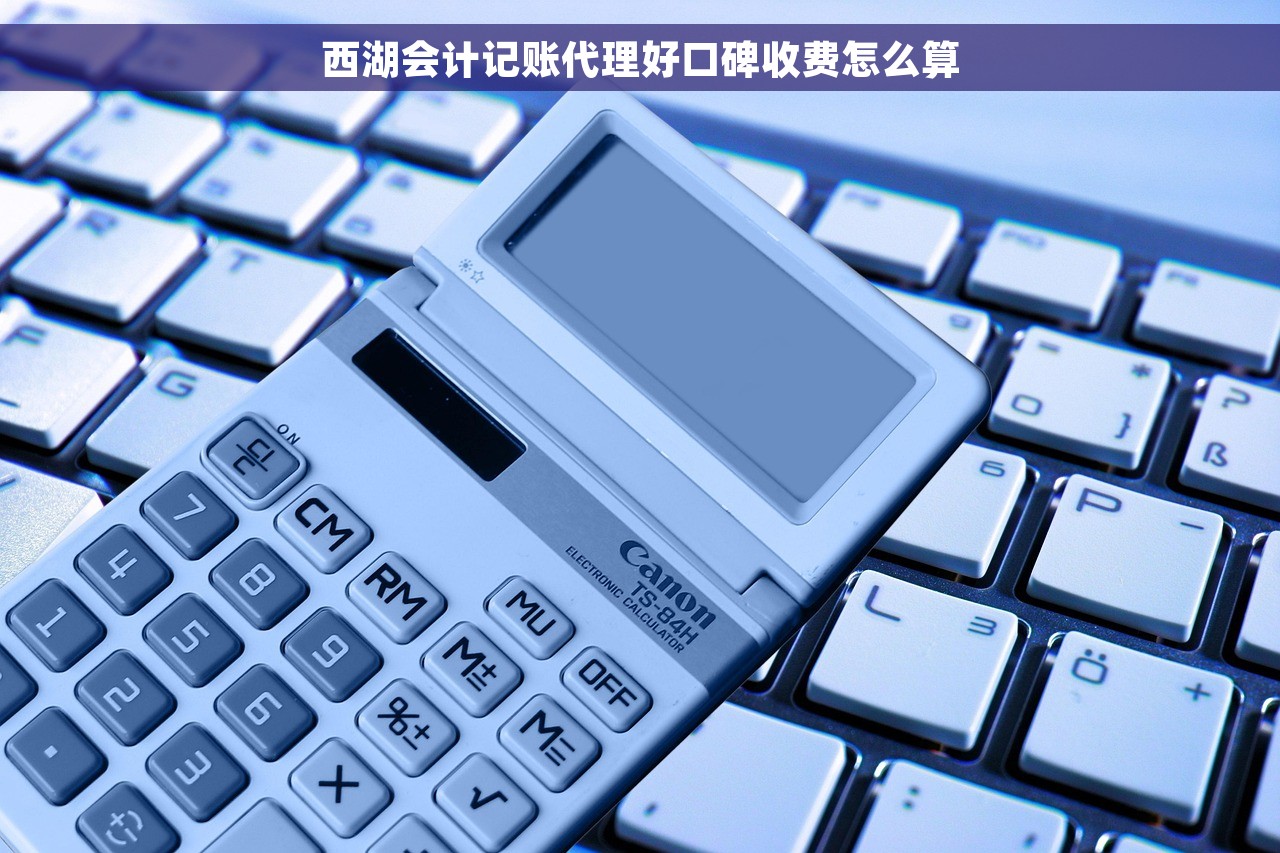 了解财务记账报税价格，专业顾问带你省钱又放心解决问题！