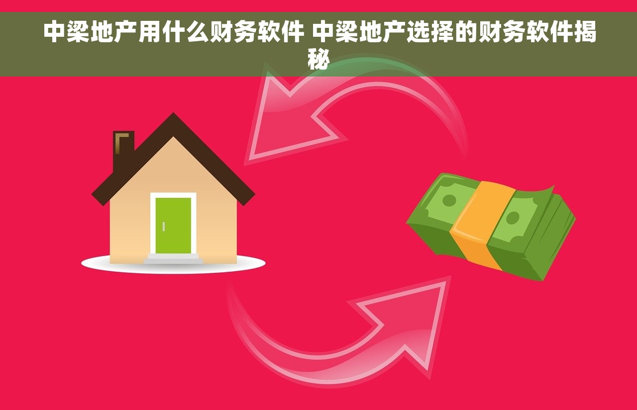 五家渠财务软件哪个好一点，常见问题解决及优缺点比较