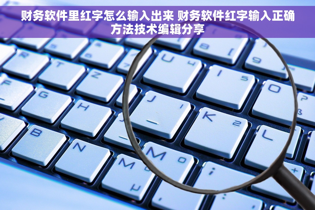 内外帐怎么用财务软件查账 财务软件内外帐对账操作流程与技巧