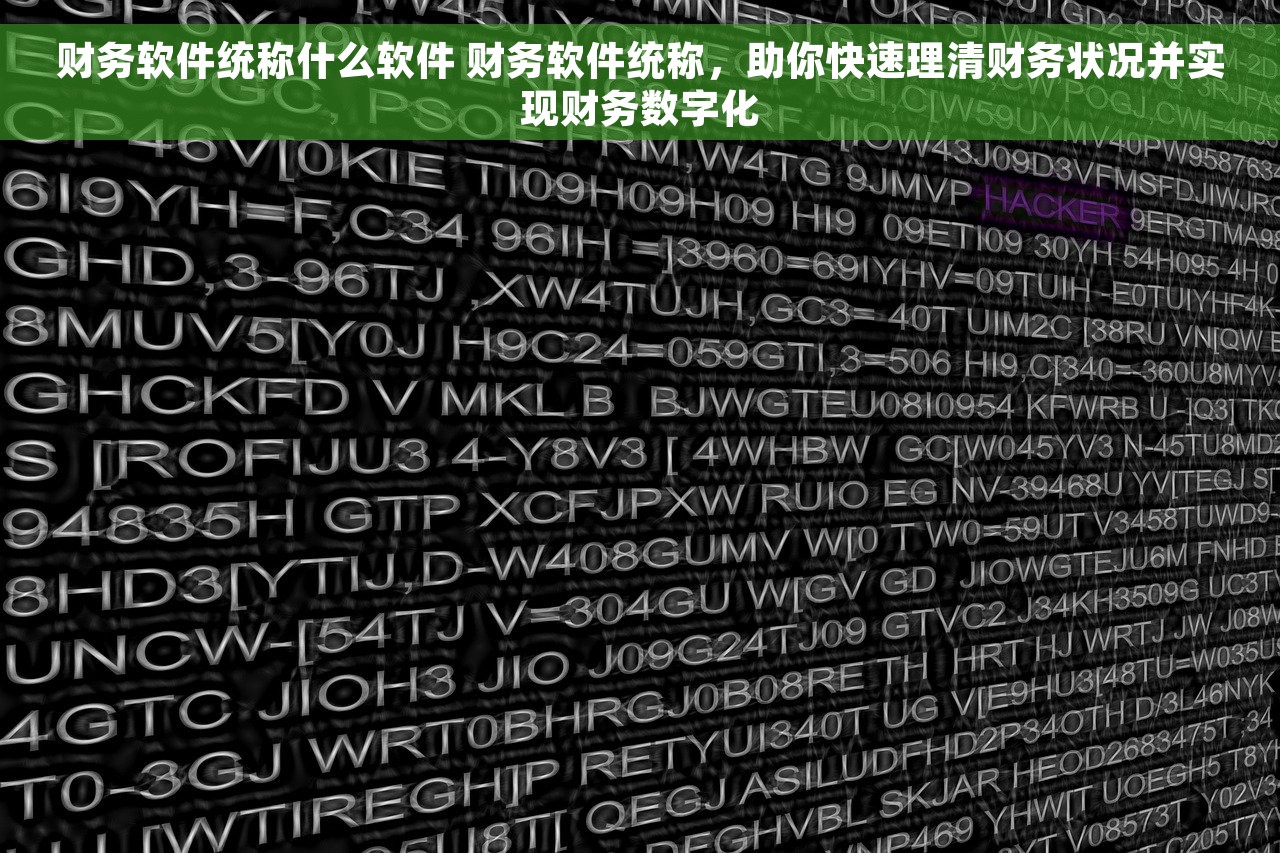 出纳记账电子软件 财务管理利器：出纳记账软件助你成为家庭大管家和小型企业老板