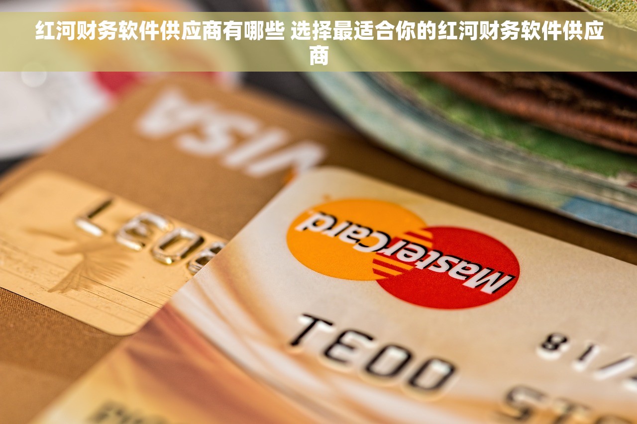 erp取代会计 ERP软件成功取代会计，从繁琐会计工作中解放出轻松生活