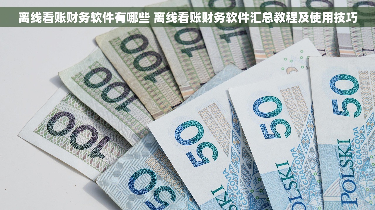 会计电算化怎么取消记账 会计电算化取消记账的常见误区、成本降低和提高效率解决办法