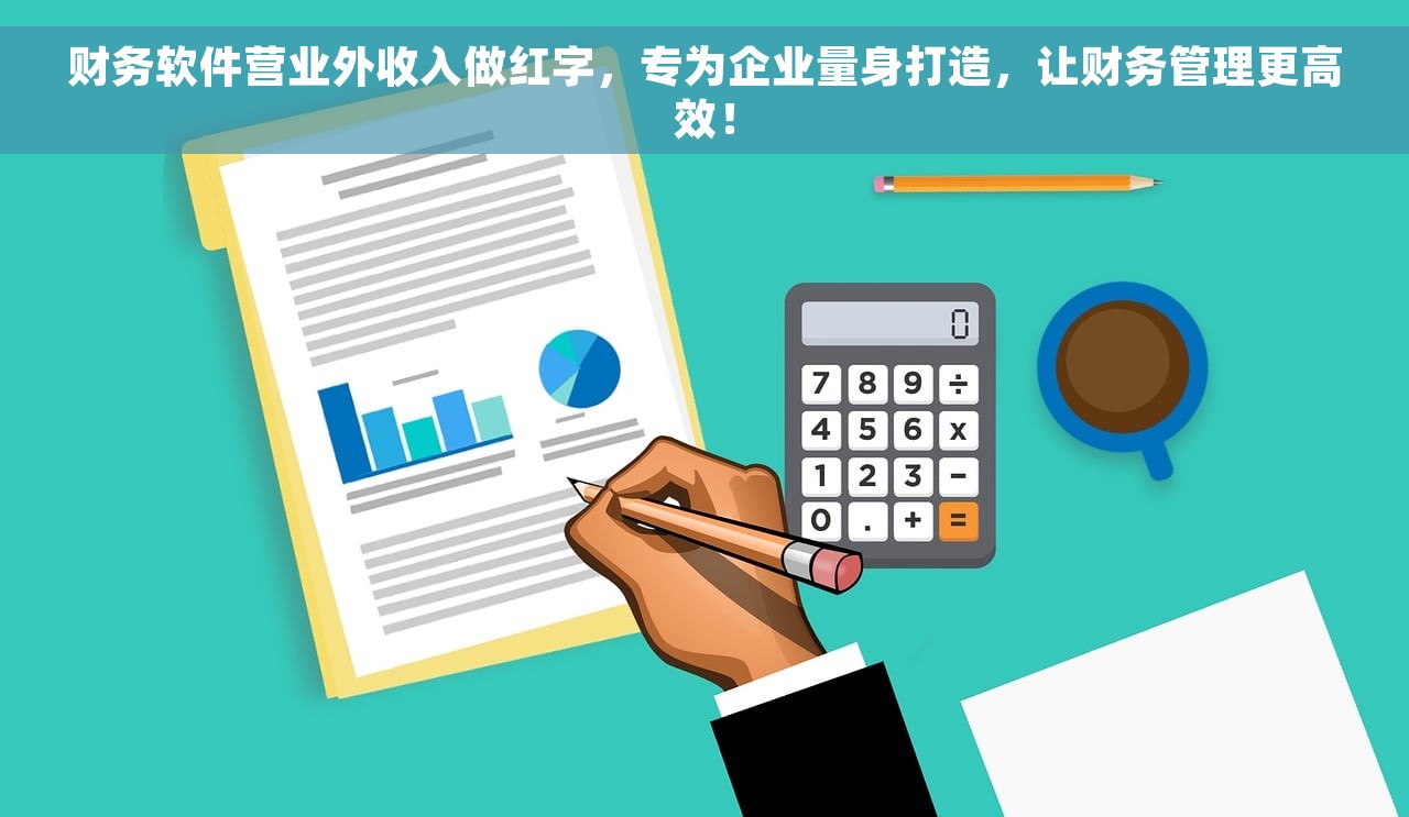 财务软件营业外收入做红字，专为企业量身打造，让财务管理更高效！