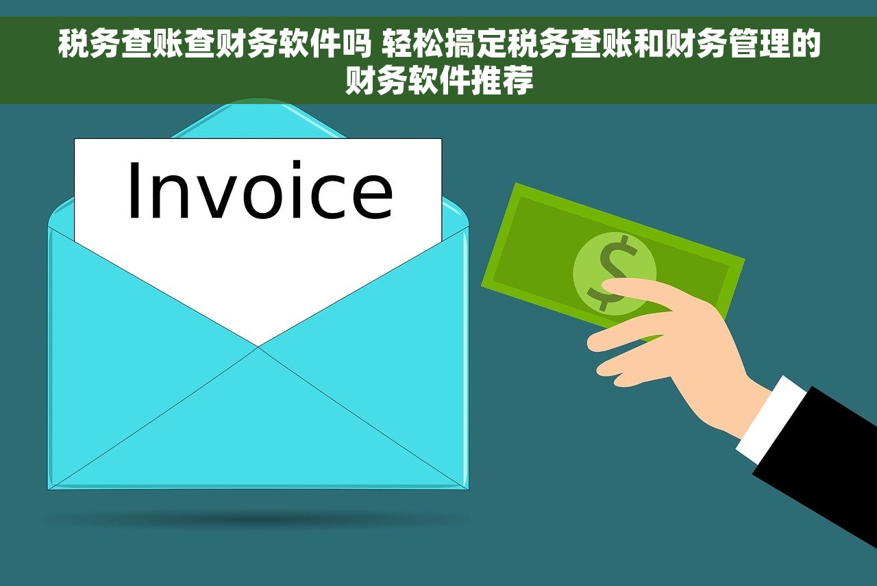 税务查账查财务软件吗 轻松搞定税务查账和财务管理的财务软件推荐