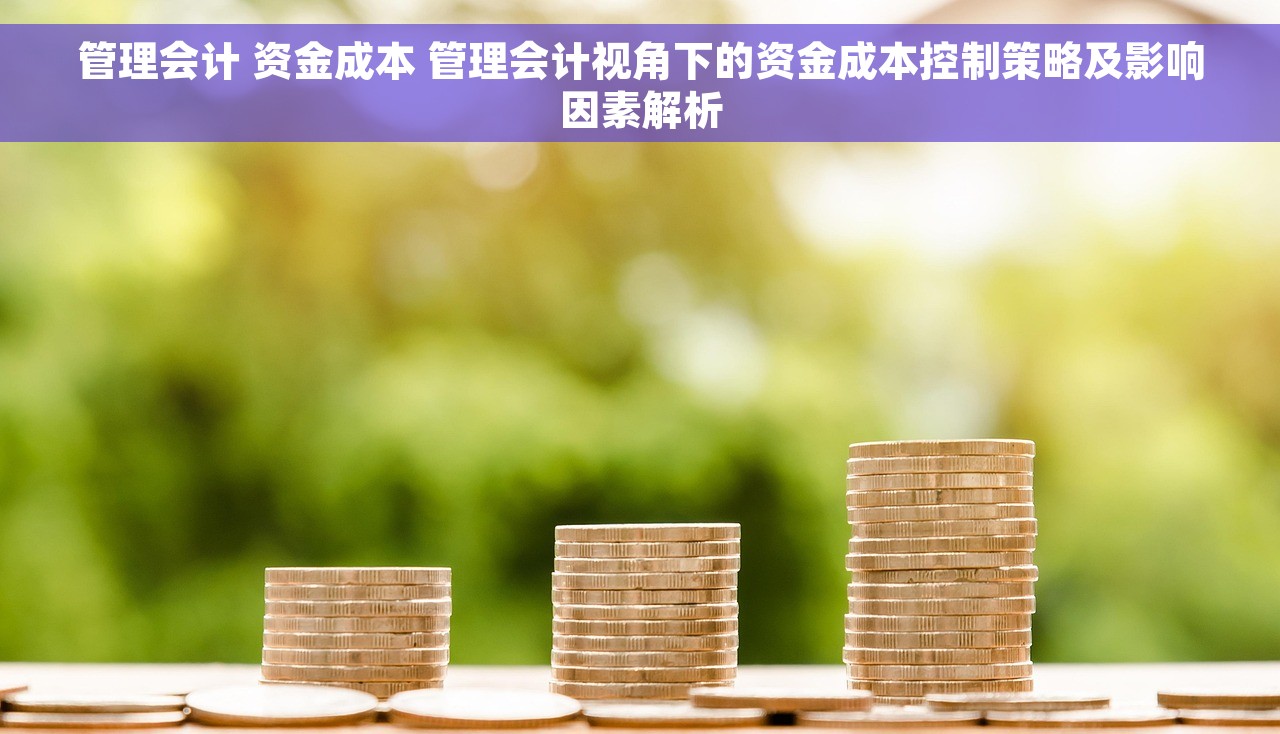 管理会计 资金成本 管理会计视角下的资金成本控制策略及影响因素解析