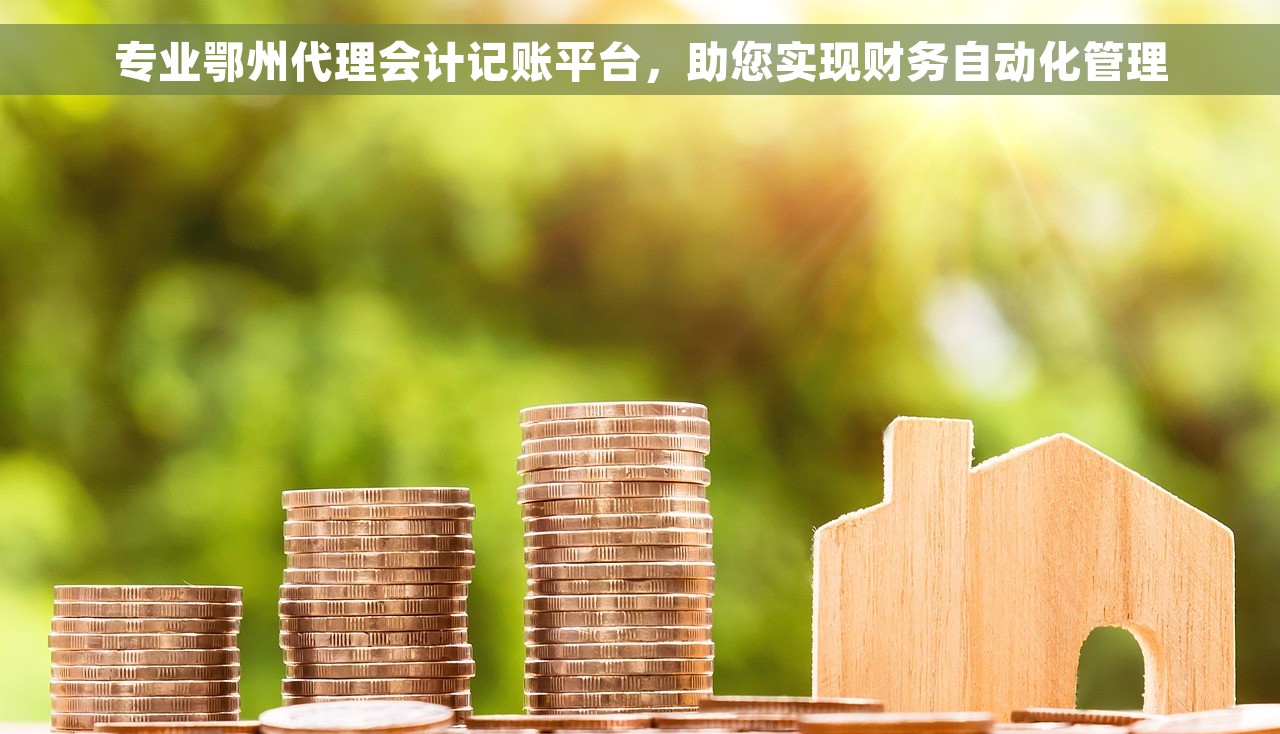 专业鄂州代理会计记账平台，助您实现财务自动化管理