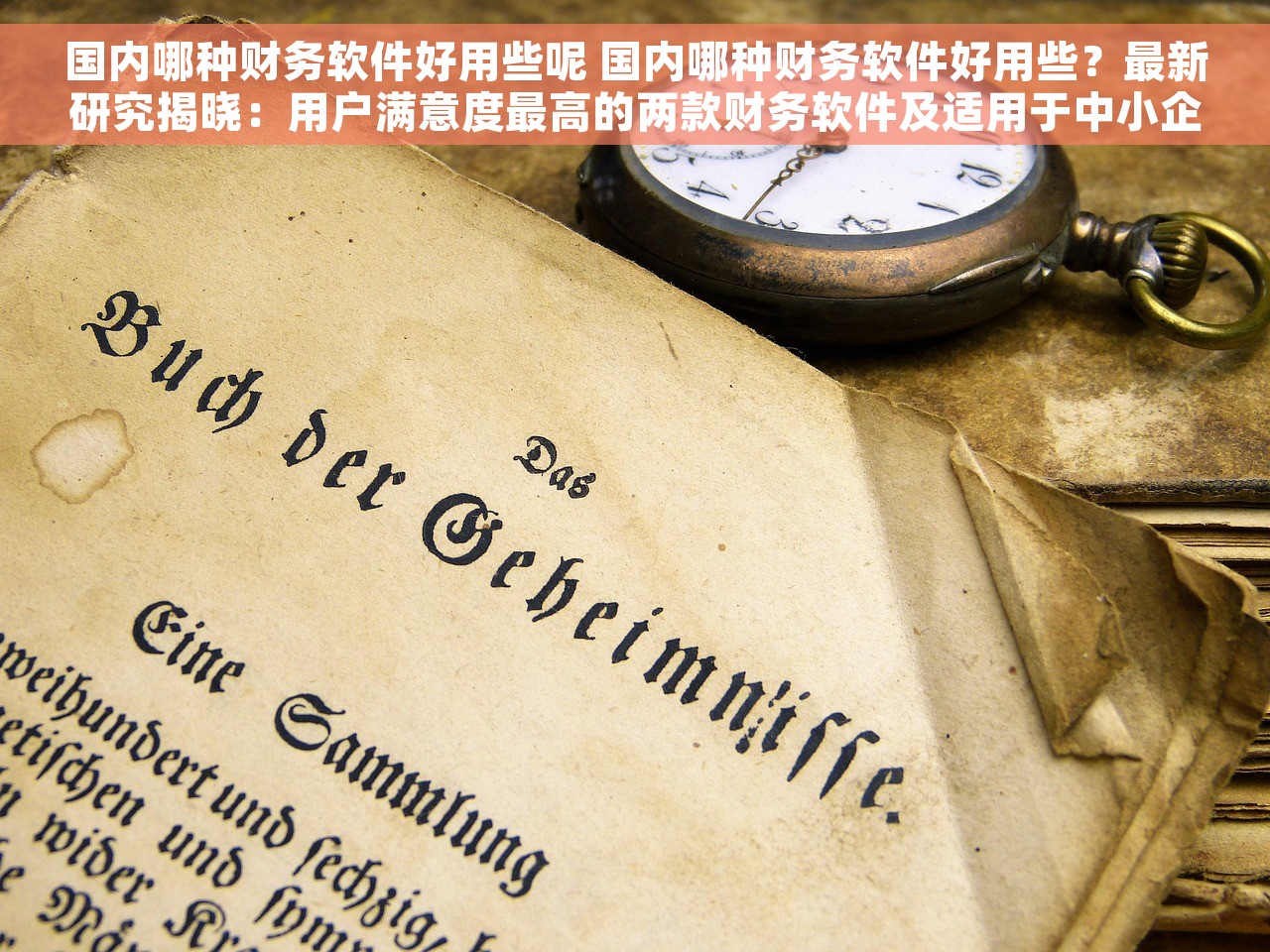 国内哪种财务软件好用些呢 国内哪种财务软件好用些？最新研究揭晓：用户满意度最高的两款财务软件及适用于中小企业的功能强大又易操作的几款财务软件