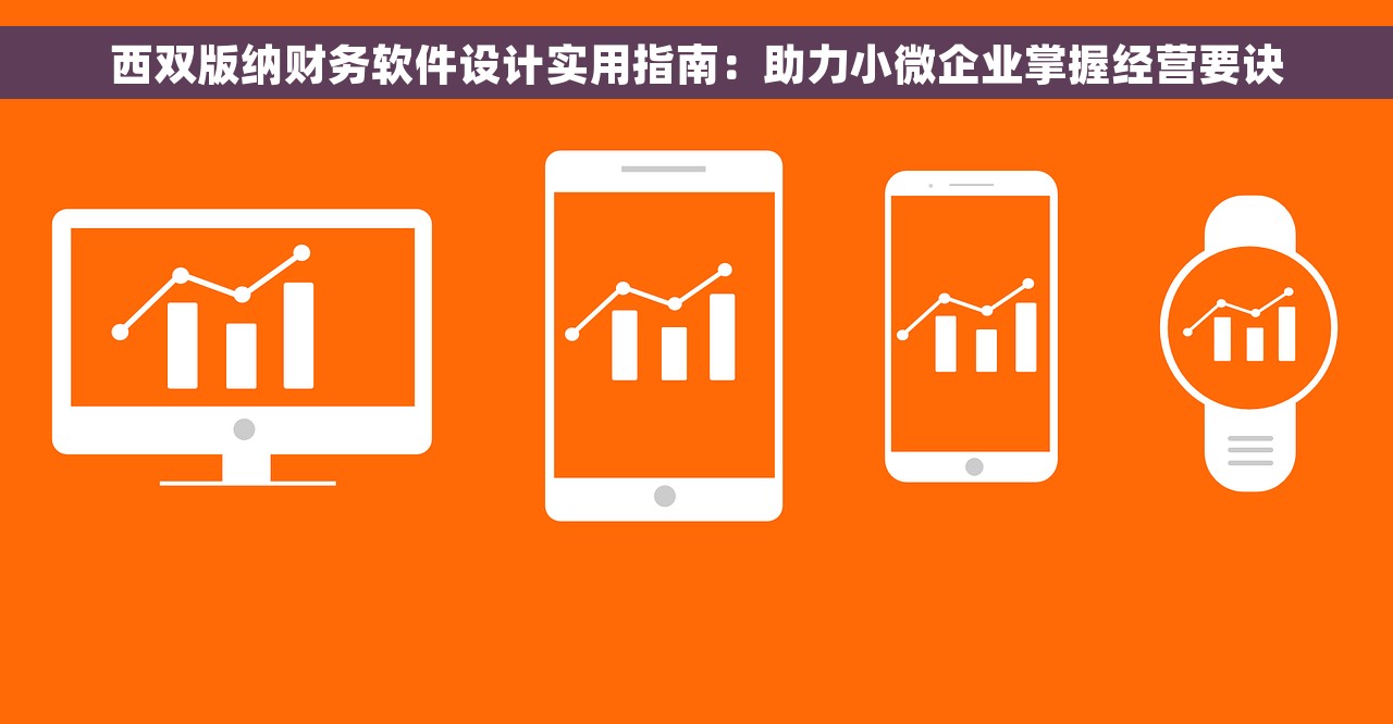 西双版纳财务软件设计实用指南：助力小微企业掌握经营要诀