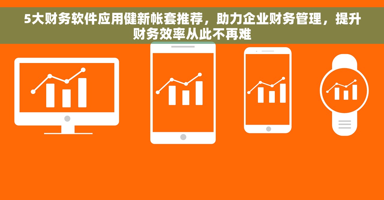 5大财务软件应用健新帐套推荐，助力企业财务管理，提升财务效率从此不再难