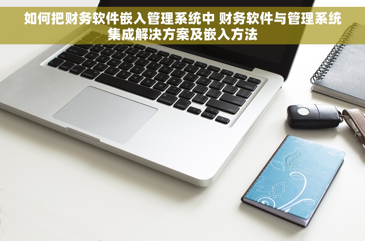 如何把财务软件嵌入管理系统中 财务软件与管理系统集成解决方案及嵌入方法
