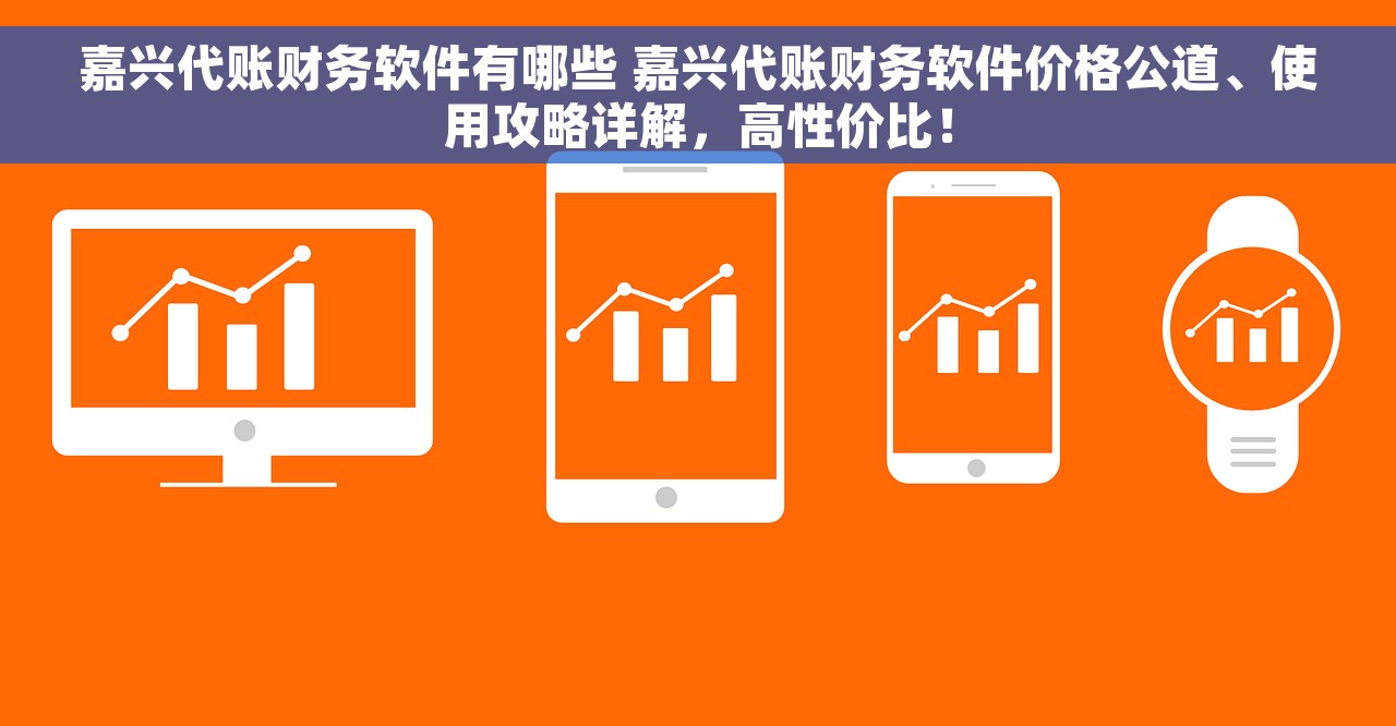 嘉兴代账财务软件有哪些 嘉兴代账财务软件价格公道、使用攻略详解，高性价比！