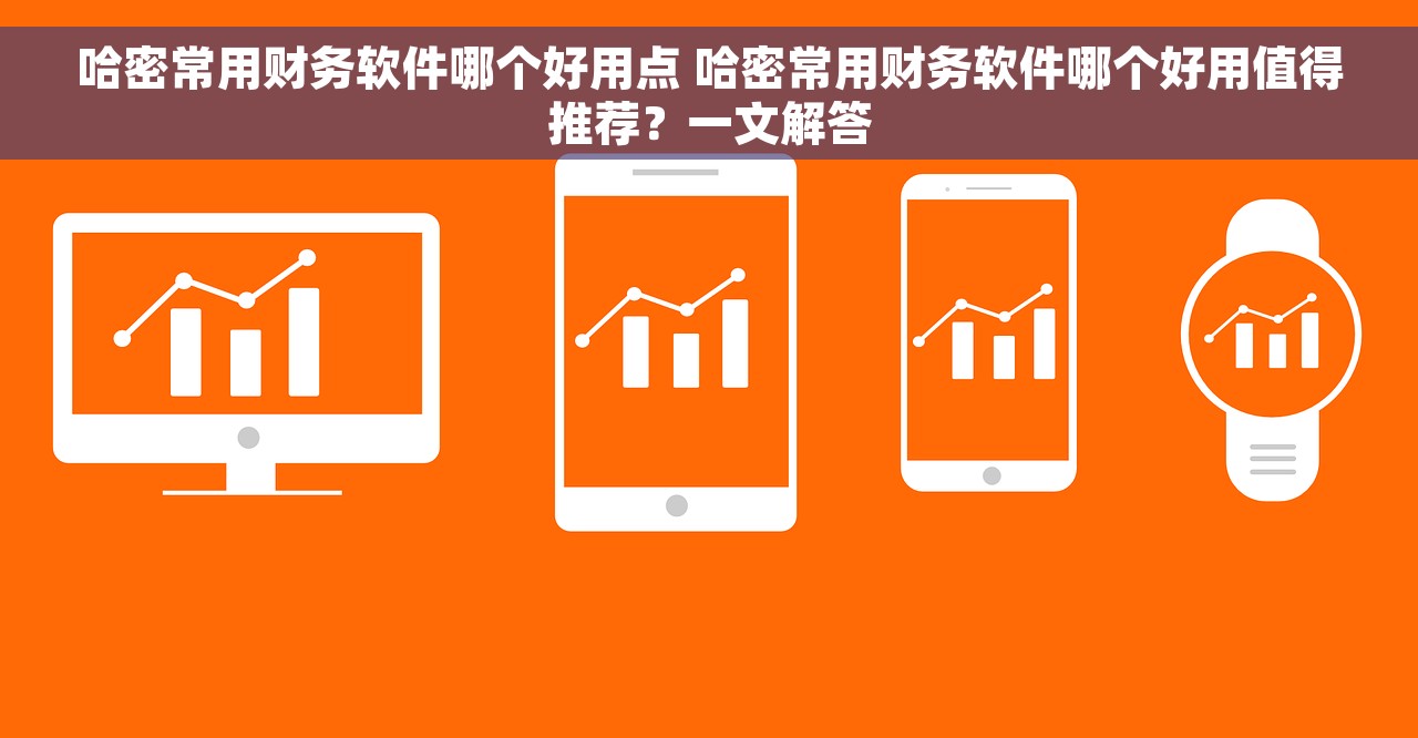 哈密常用财务软件哪个好用点 哈密常用财务软件哪个好用值得推荐？一文解答