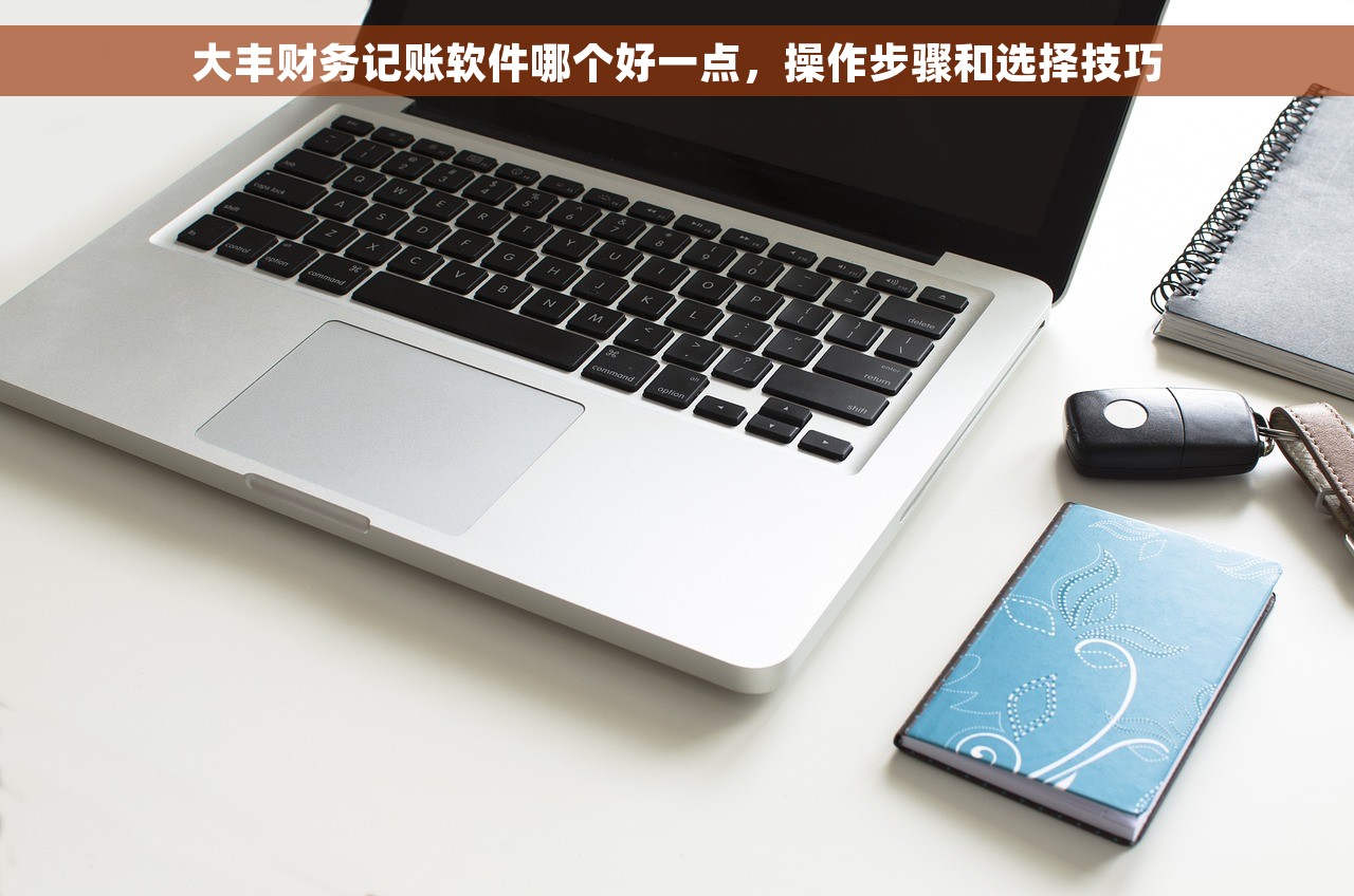 大丰财务记账软件哪个好一点，操作步骤和选择技巧