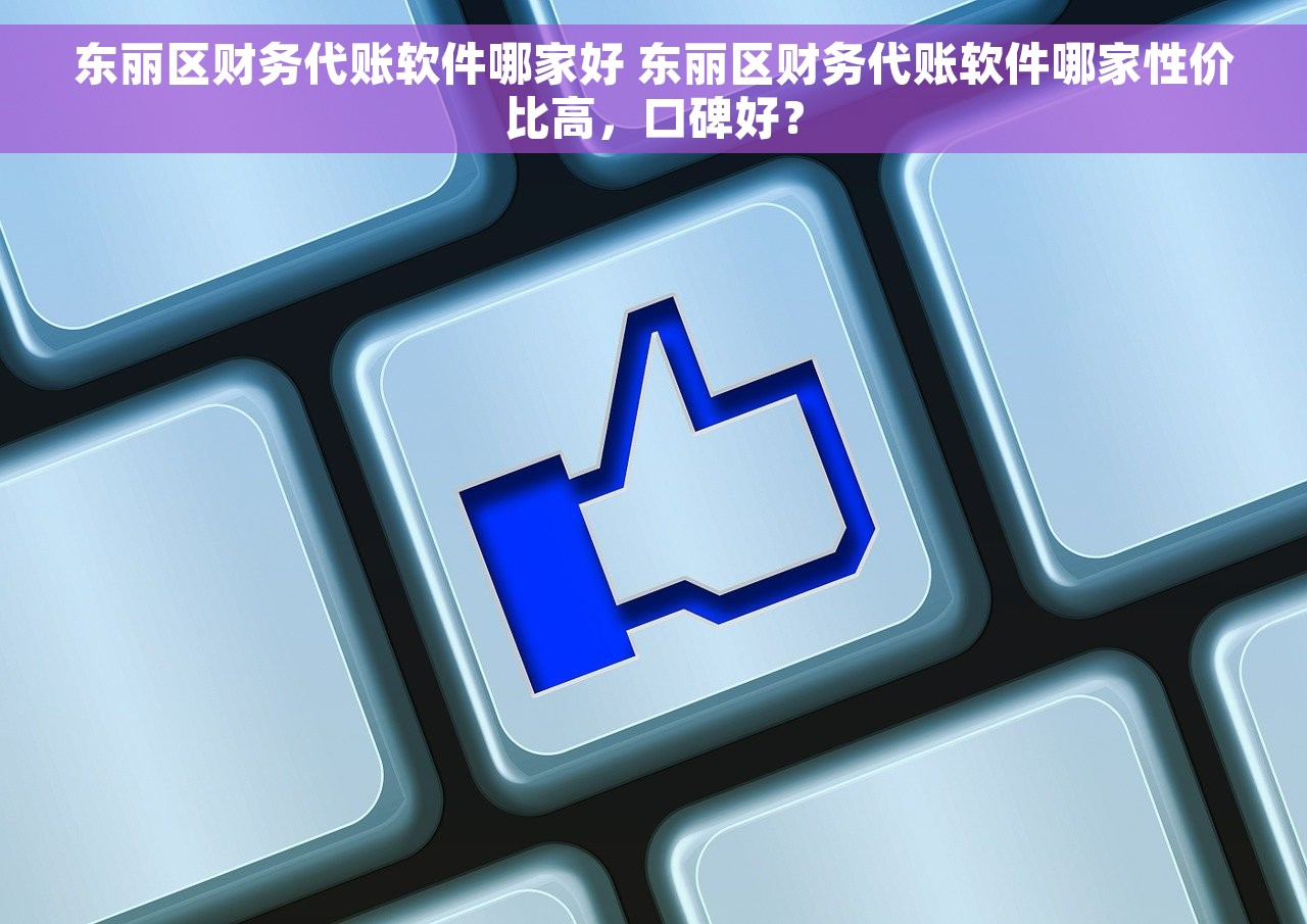 东丽区财务代账软件哪家好 东丽区财务代账软件哪家性价比高，口碑好？