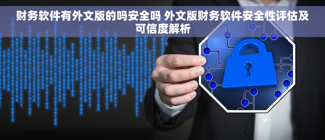 财务软件有外文版的吗安全吗 外文版财务软件安全性评估及可信度解析
