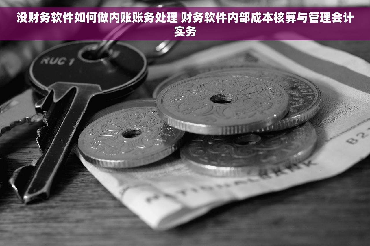 没财务软件如何做内账账务处理 财务软件内部成本核算与管理会计实务