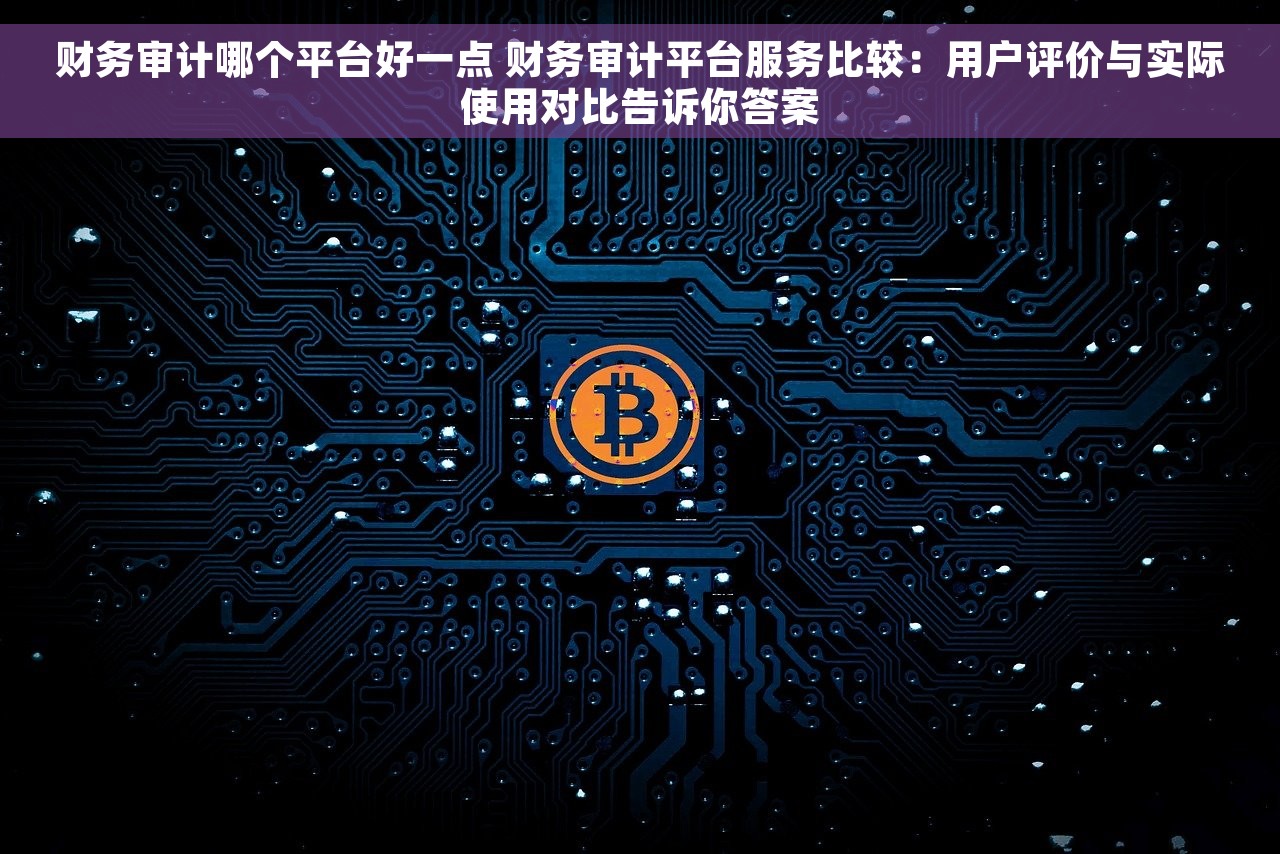 财务审计哪个平台好一点 财务审计平台服务比较：用户评价与实际使用对比告诉你答案