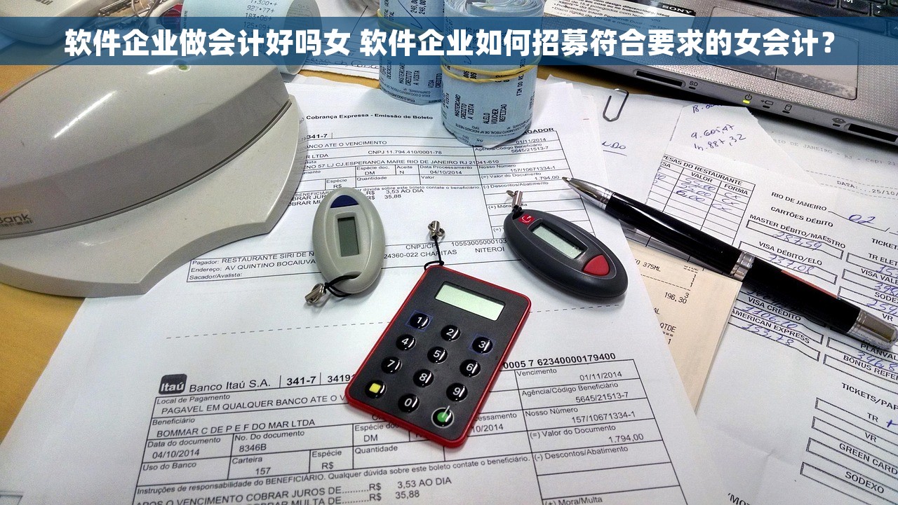 软件企业做会计好吗女 软件企业如何招募符合要求的女会计？