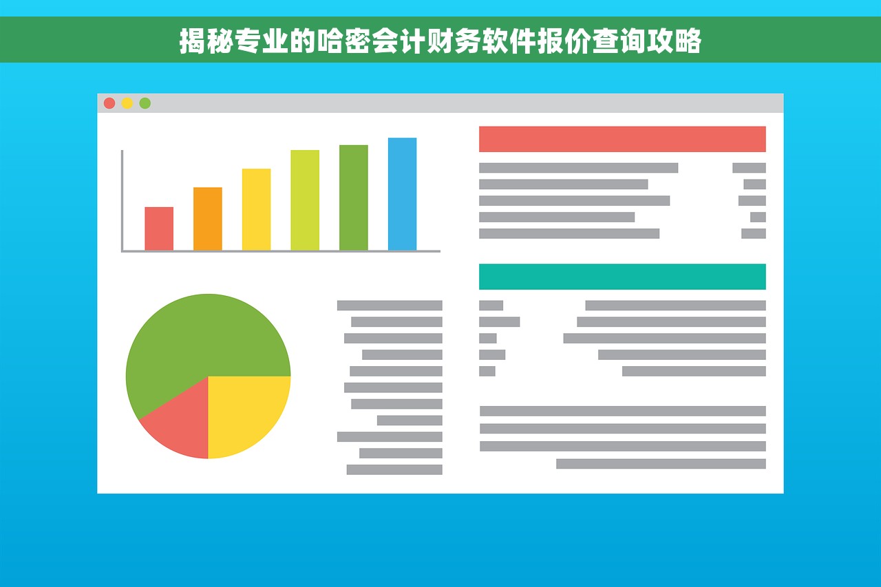 揭秘专业的哈密会计财务软件报价查询攻略