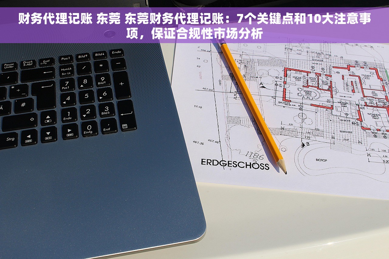 财务代理记账 东莞 东莞财务代理记账：7个关键点和10大注意事项，保证合规性市场分析