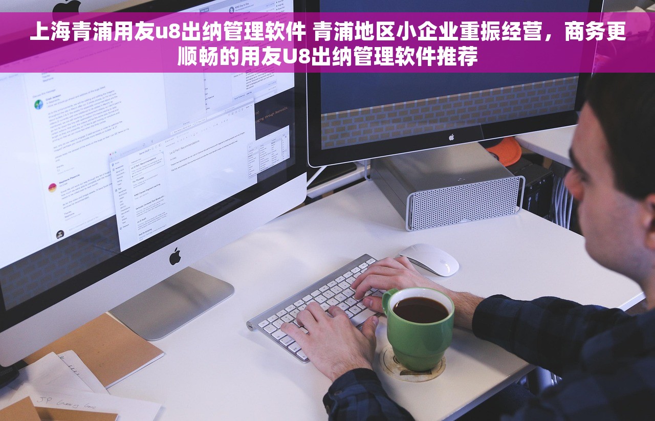 上海青浦用友u8出纳管理软件 青浦地区小企业重振经营，商务更顺畅的用友U8出纳管理软件推荐