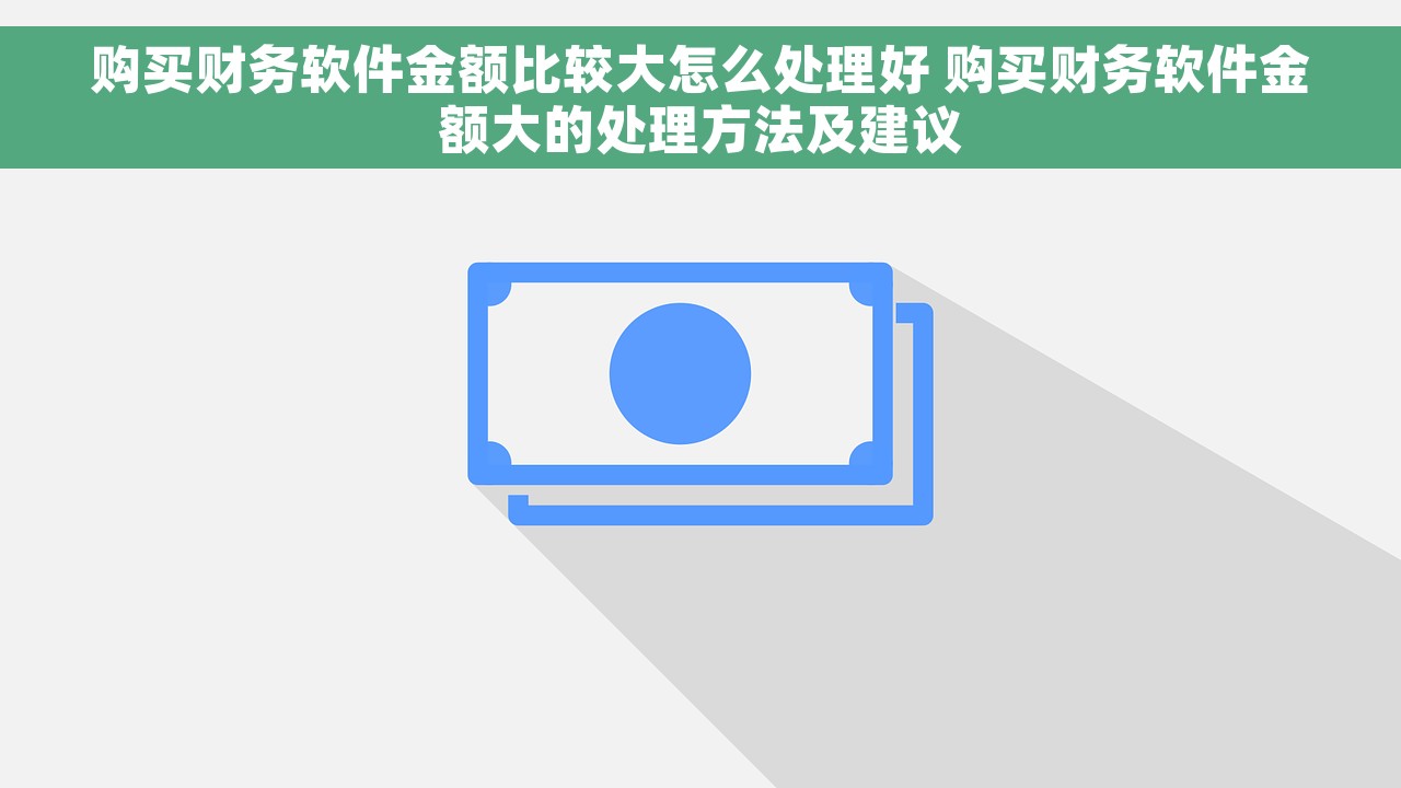 购买财务软件金额比较大怎么处理好 购买财务软件金额大的处理方法及建议