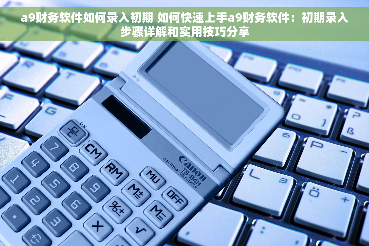 a9财务软件如何录入初期 如何快速上手a9财务软件：初期录入步骤详解和实用技巧分享