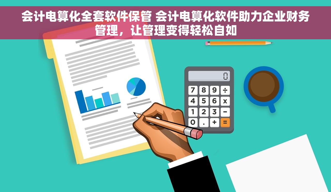 会计电算化全套软件保管 会计电算化软件助力企业财务管理，让管理变得轻松自如