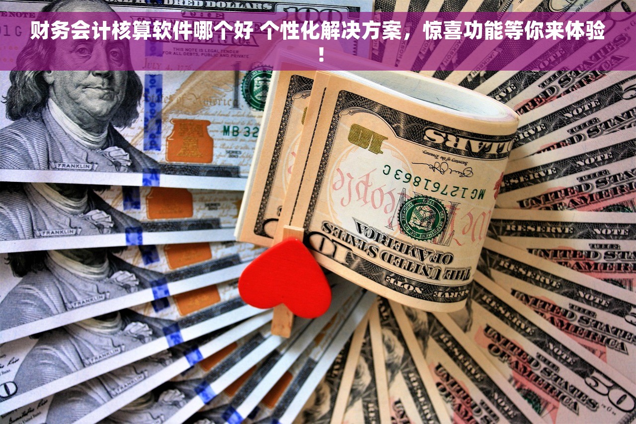 财务会计核算软件哪个好 个性化解决方案，惊喜功能等你来体验！