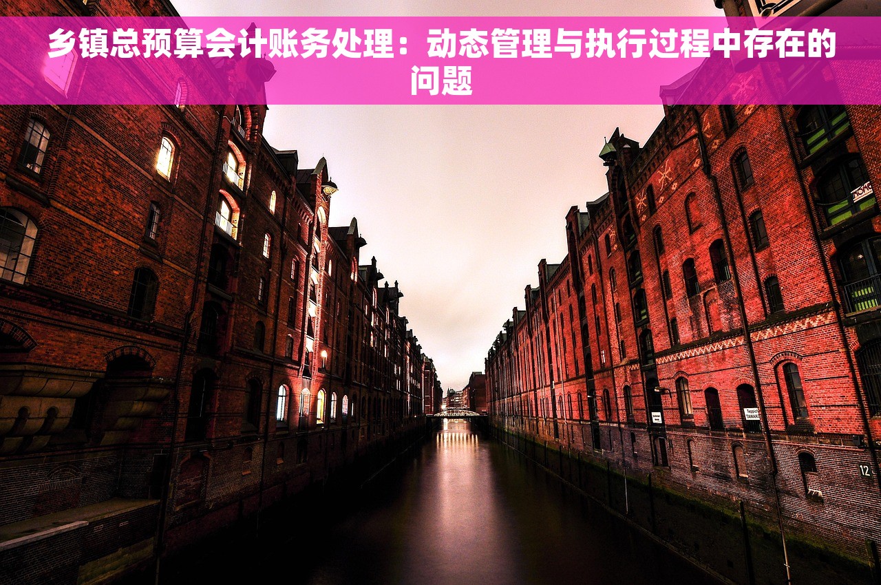 乡镇总预算会计账务处理：动态管理与执行过程中存在的问题