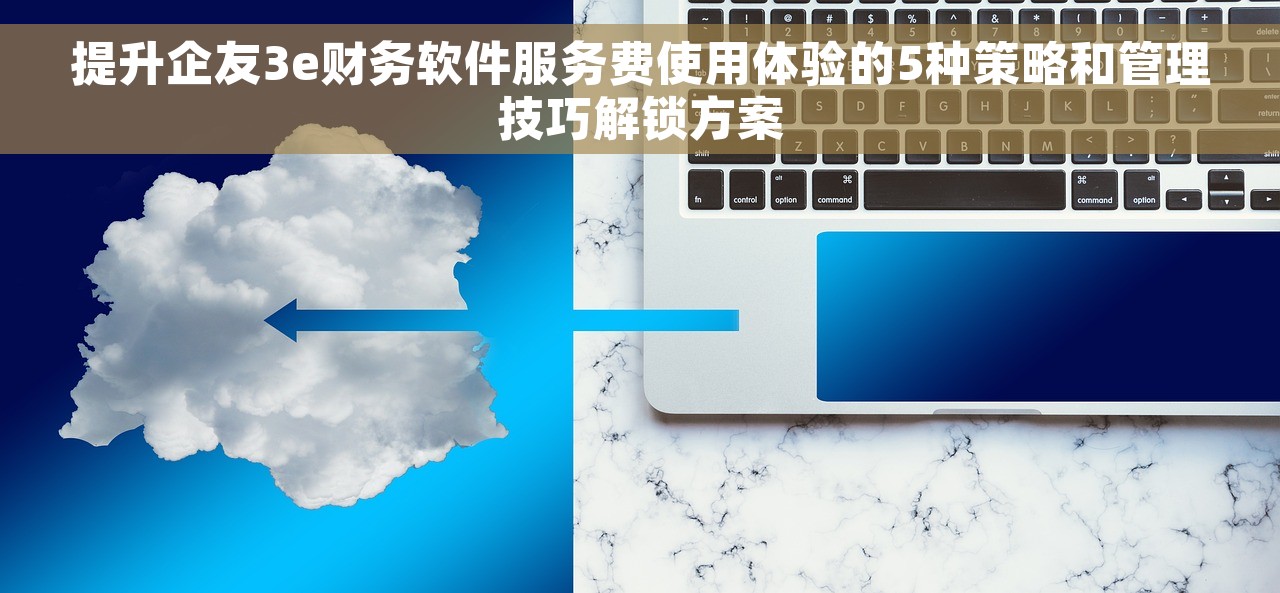 提升企友3e财务软件服务费使用体验的5种策略和管理技巧解锁方案