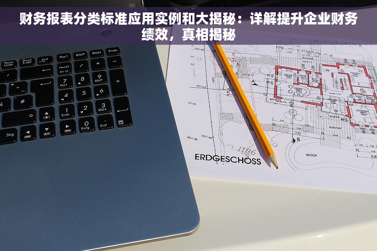 财务报表分类标准应用实例和大揭秘：详解提升企业财务绩效，真相揭秘