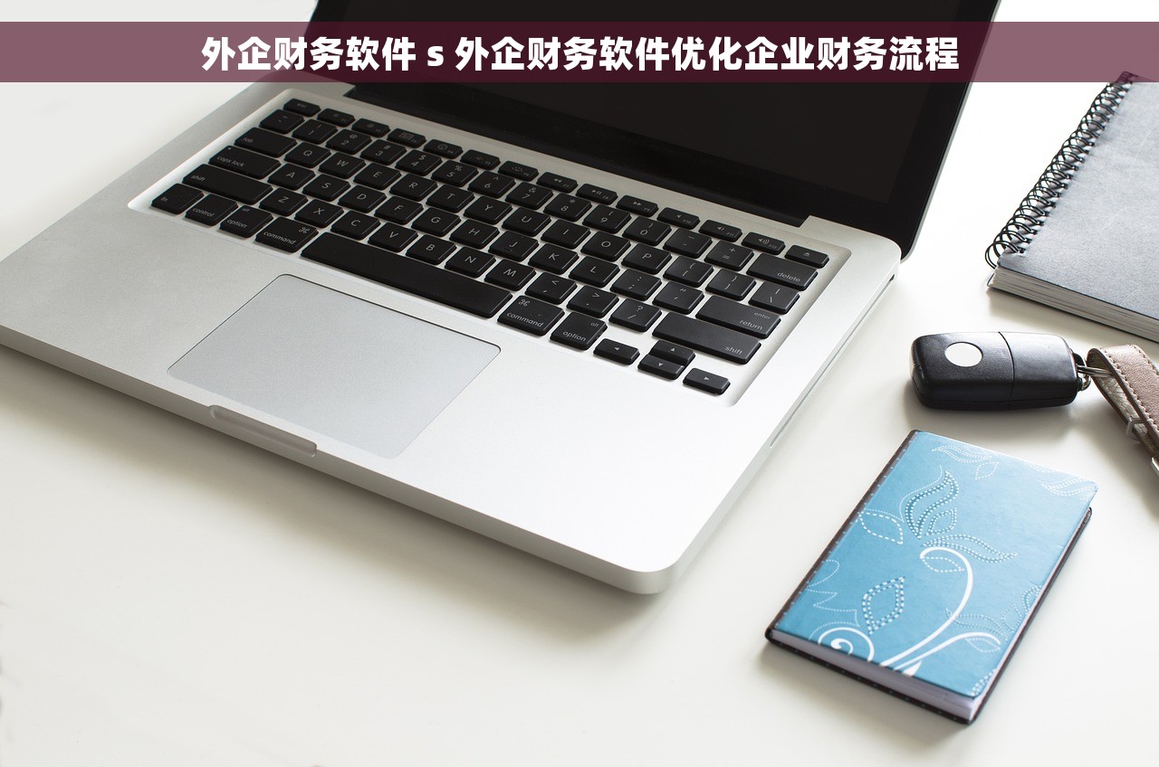 外企财务软件 s 外企财务软件优化企业财务流程