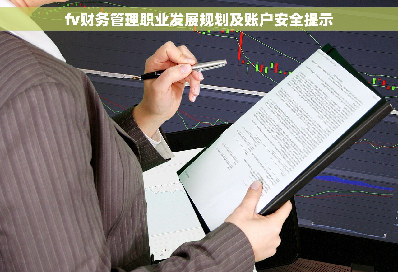 fv财务管理职业发展规划及账户安全提示