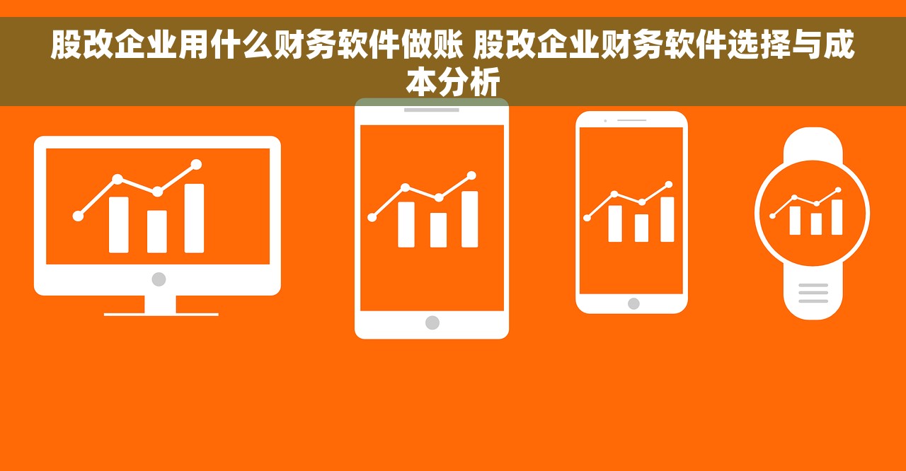 股改企业用什么财务软件做账 股改企业财务软件选择与成本分析