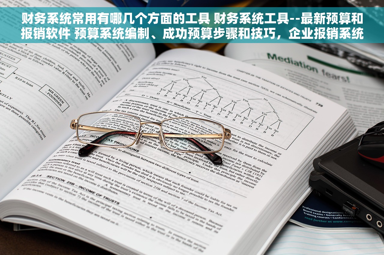 财务系统常用有哪几个方面的工具 财务系统工具--最新预算和报销软件 预算系统编制、成功预算步骤和技巧，企业报销系统选择及性价比工具