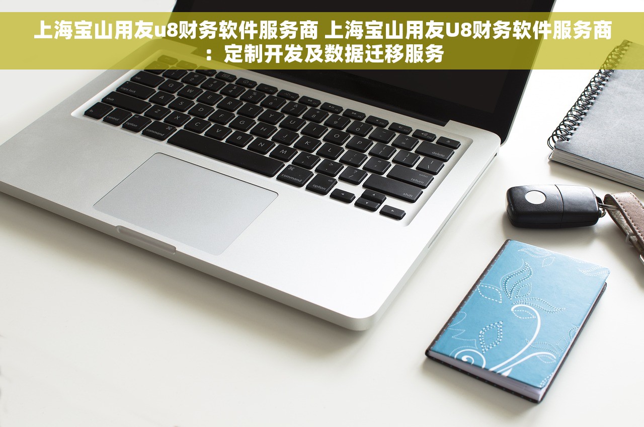 上海宝山用友u8财务软件服务商 上海宝山用友U8财务软件服务商：定制开发及数据迁移服务