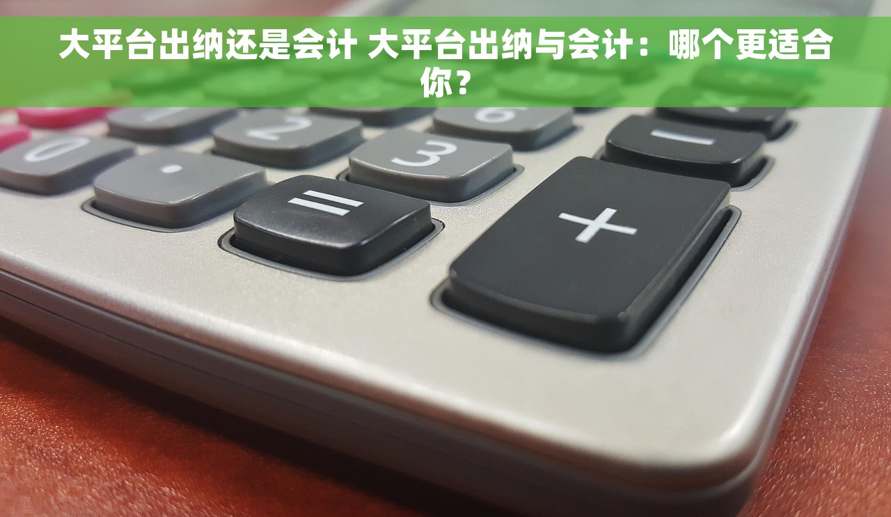 大平台出纳还是会计 大平台出纳与会计：哪个更适合你？