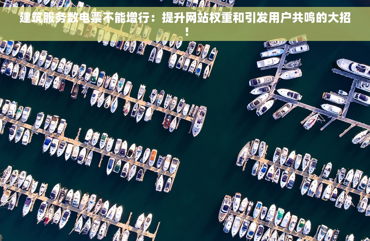 建筑服务数电票不能增行：提升网站权重和引发用户共鸣的大招！