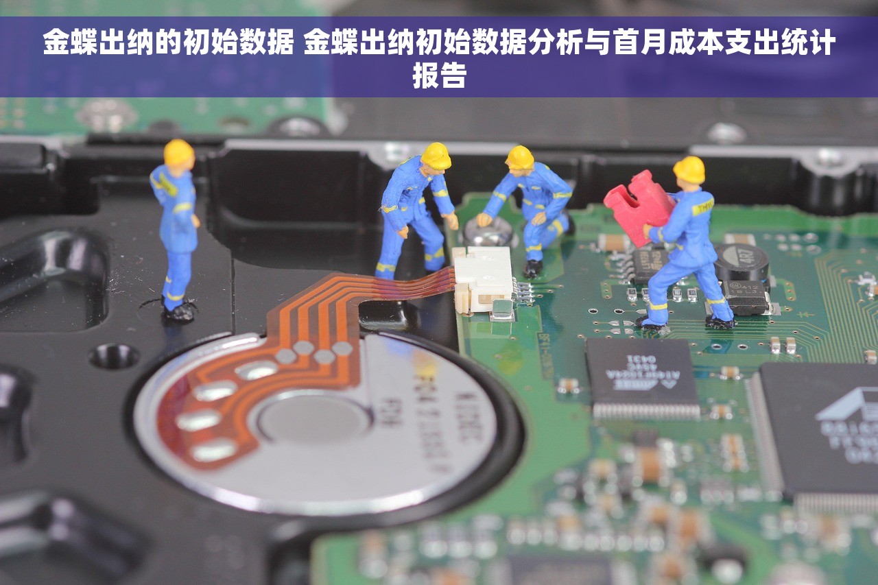 金蝶出纳的初始数据 金蝶出纳初始数据分析与首月成本支出统计报告