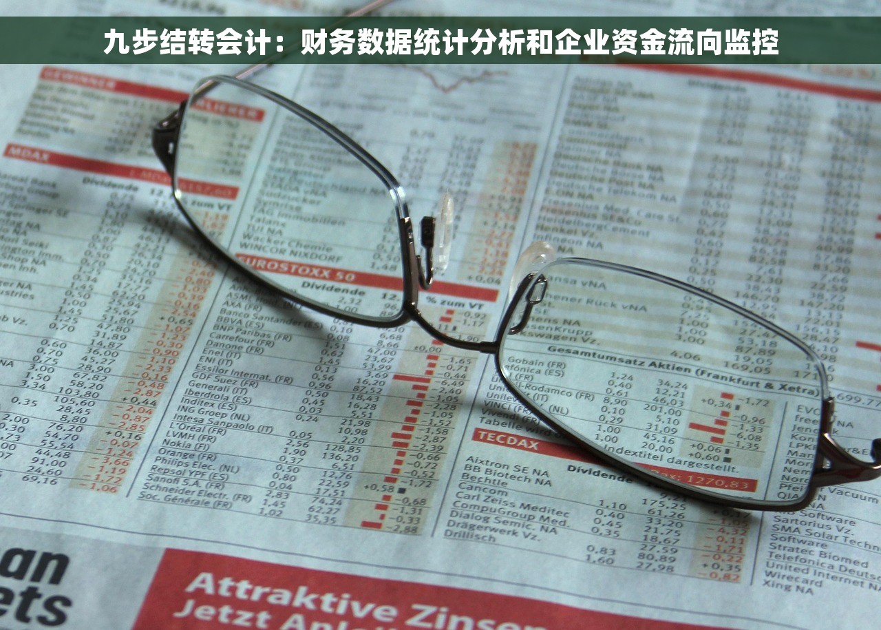 九步结转会计：财务数据统计分析和企业资金流向监控