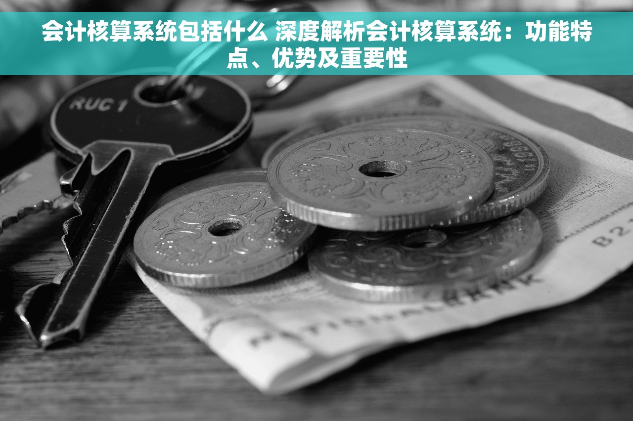 会计核算系统包括什么 深度解析会计核算系统：功能特点、优势及重要性