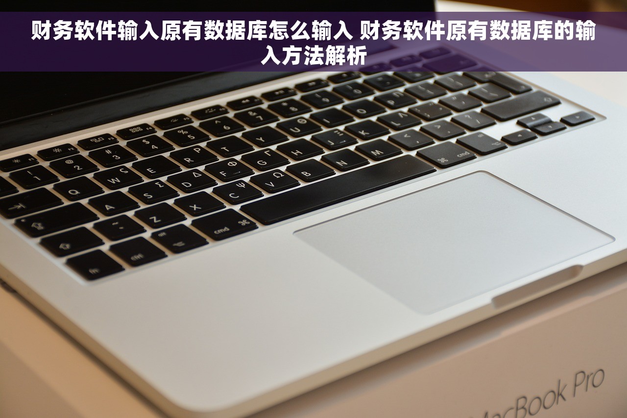 财务软件输入原有数据库怎么输入 财务软件原有数据库的输入方法解析