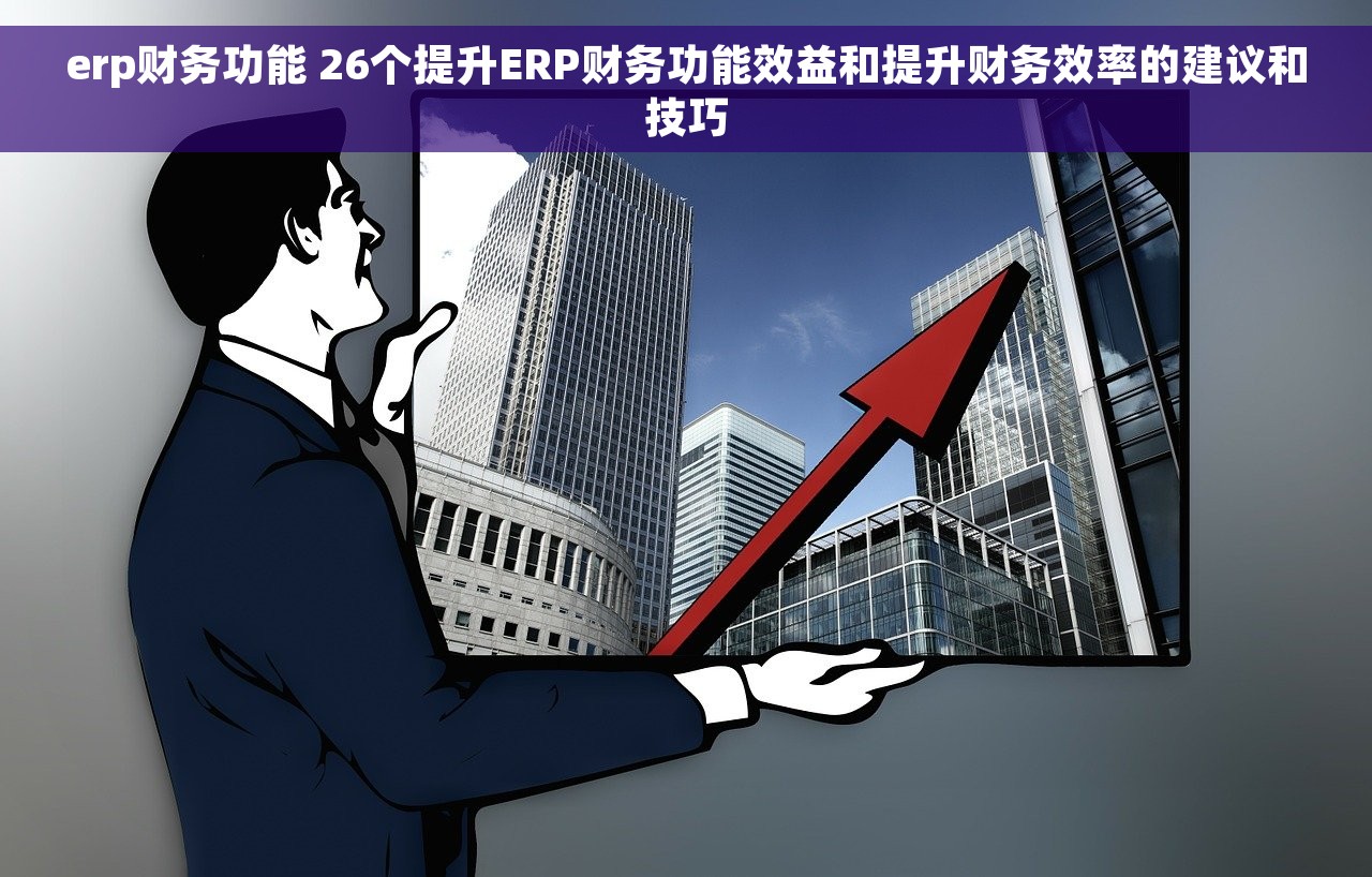 erp财务功能 26个提升ERP财务功能效益和提升财务效率的建议和技巧