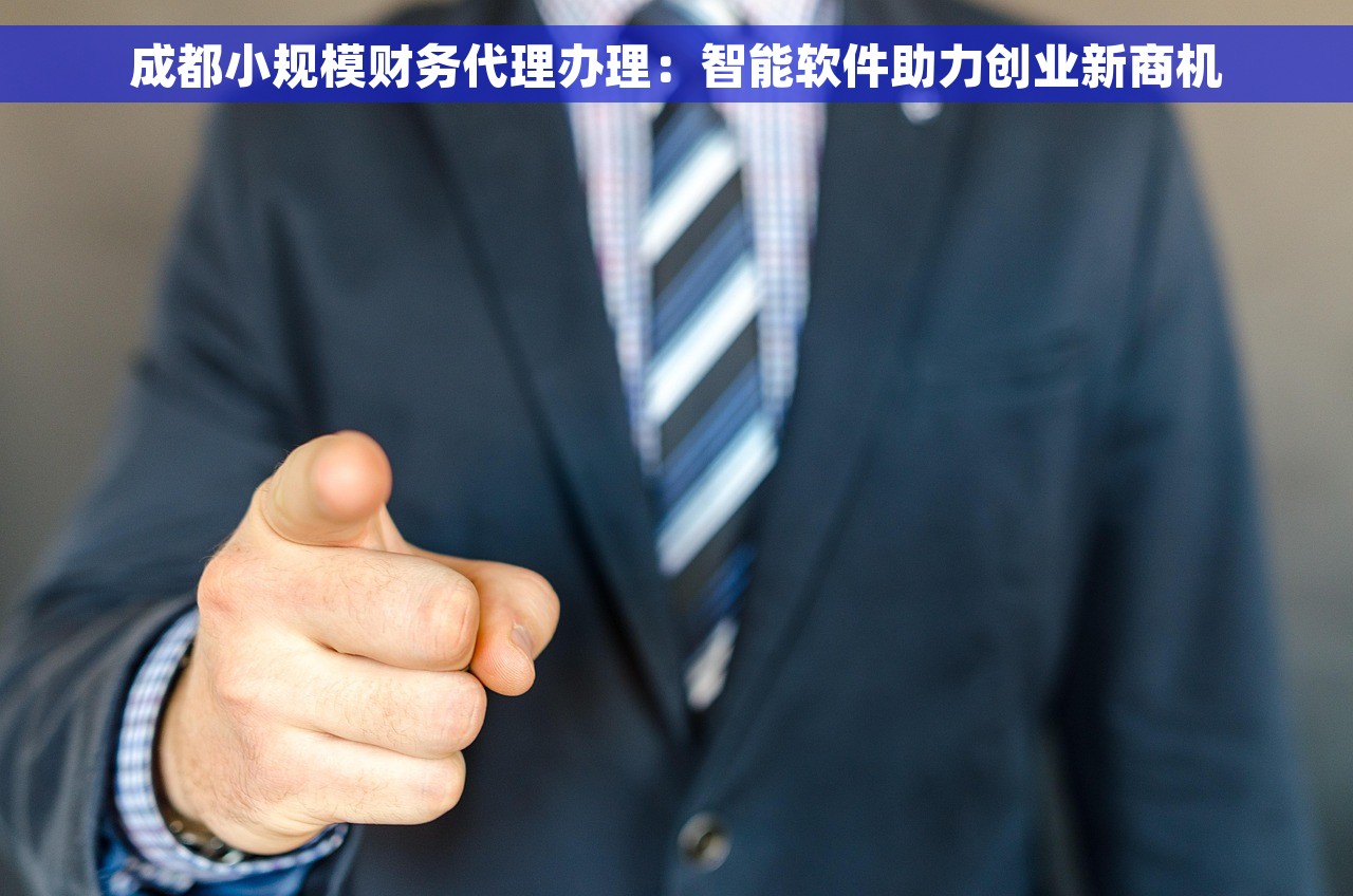 成都小规模财务代理办理：智能软件助力创业新商机