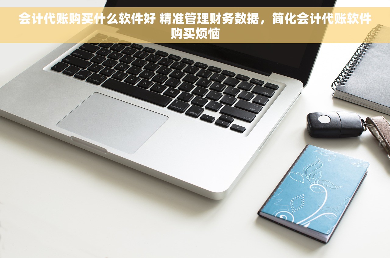 会计代账购买什么软件好 精准管理财务数据，简化会计代账软件购买烦恼