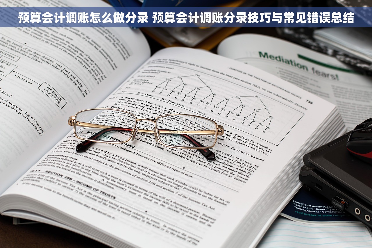 预算会计调账怎么做分录 预算会计调账分录技巧与常见错误总结