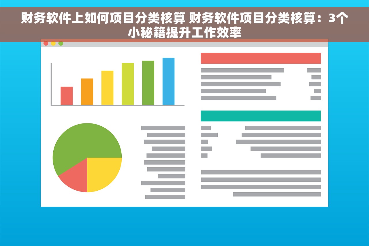 财务软件上如何项目分类核算 财务软件项目分类核算：3个小秘籍提升工作效率