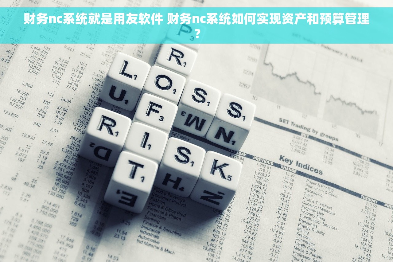 财务nc系统就是用友软件 财务nc系统如何实现资产和预算管理？